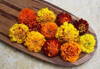 Edible Flowers Marigold 50 Count