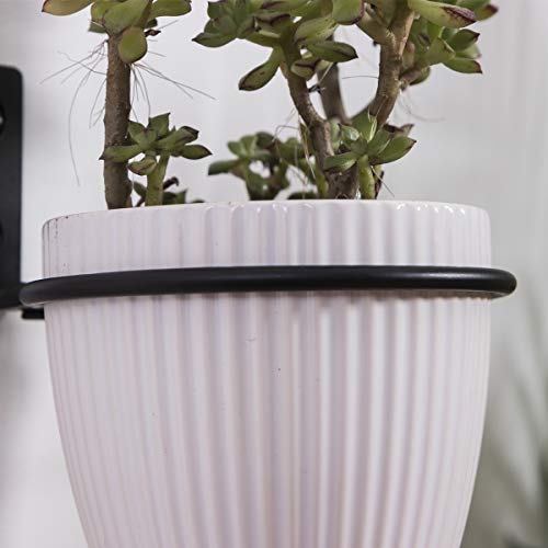 ORZ 4 inch Flower Pot Holder Ring, Set of 3 Pot Wall Mounted Metal