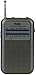 Kaito KA200S Pocket AM/FM Radio, Gray