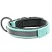 Pawtitas Lumberjack Padded Martingale Collar for Dogs | Soft Neoprene Dog Collar for Your pet's Comfort Made with Reflective Band for Maximum Visibility | Fits Small and Large Pets - Medium Teal