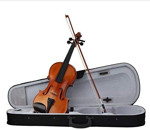 Mugig Violin, Solidwood Ebony Fitted with Hard Case, with Violin Bow, Rosin and Extra Strings, Suitable for Beginners and Students (4/4, Full-size)