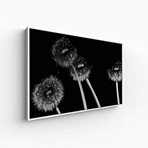 Canvas Wall Art for Living Room, Bedroom Monochrome Plants Framed Canvas Prints for Home Decoration Ready to Hang - 16x24 inches