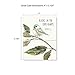 The Best Card Company - 20 Blank Notes with Envelopes - All Occasion Animal Assortment (10 Designs, 2 Each) - Scripture Birds AM7108OCB-B2x10-NB