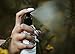 Eucalyptus Oil Shower Spray: Pure And All Natural - 100% Eucalyptus Oil