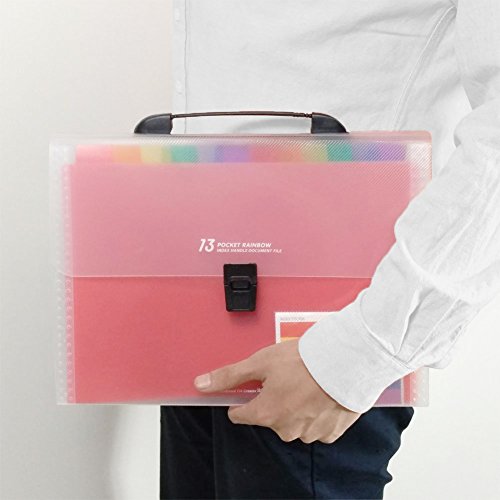 Accordion Folder File Organizer 13 Pockets Expanding A4/Size Letter Paper Multi-Colour Large Capacity Portable Box Document Stand Bag -Bonus Labels for Office, Business, Study