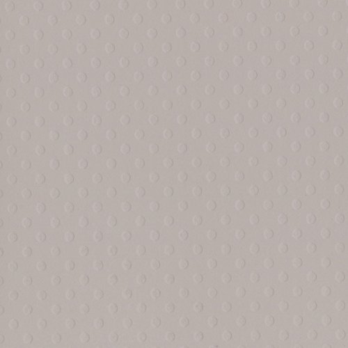 Bazzill 25 Sheets Dotted Swiss Front Porch Cardstock, 12 x 12