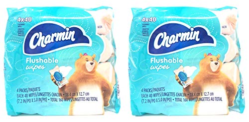 Charmin Flushable Wipes - Image 5