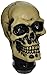 Pilot Automotive PM-2271 Lifelike Skull Manual Shift Knob