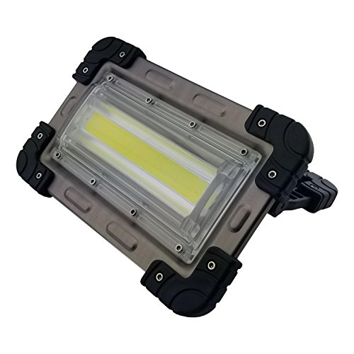 30 Watt Portable 2000 Lumen LED Work Light,Outdoor Flood Light, for Workshop,Construction Site, Building, Camping,Hiking,Car Repair, Rechargeable Battery Power Bank