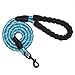 10 FT Strong Dog Leash Extra Heavy Duty Rock Climbing Rope Comfortable Padded Handle Highly Reflective Threads for Small Medium Large Dogs, 1/2 inch Diameter (Blue)