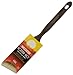 Wooster Brush Q4119-2 Golden Glo Angle Sash Paintbrush, 2-Inch