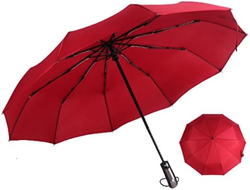 Compact Auto Open Close 10 Ribs Travel Umbrella- Reinforced Windproof Umbrella,Foldable &amp; Portable (wine red)