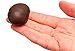 Solidarnosc Candied Plums in Dark Chocolate Sliwka Naleczowska (2.2 lbs)