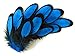 Moonlight Feather | 1 Dozen - Turquoise Blue Whiting Farms Laced Hen Saddle Feathers Craft Fly Tying