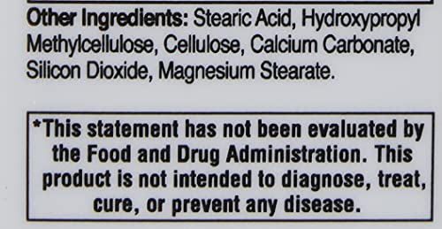 21ST CENTURY VITAMIN C 1000MG PROLONGED RELEASE TABLETS (110 COUNT), ASCORBIC ACID IMMUNE SUPPORT VITAMIN C SUPPLEMENT FOR WOMEN & MEN WITH ANTIOXIDANT SUPPORT, NON-GMO, GLUTEN FREE, VEGAN