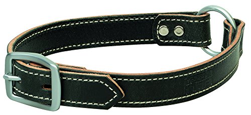leather center ring dog collar