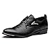 Blivener Men's Pointed Toe Classic Oxford Formal Business Dress Shoes