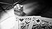 Madison Rounders Playing Cards Black