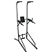 Valor Fitness CA-15 VKR/Chin Up/Push Up Station