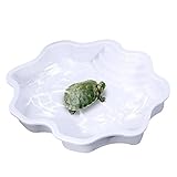 Flushbay Extra Large Reptile Bathing Pool Reptile
