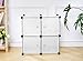 C&AHOME Cube Storage Organizer, Modular 4-Cube Shelving Units, Closet Cabinet, Plastic Closet Organizer with Doors Ideal for Bedroom, Home Office, 24.8”L x 12.4
