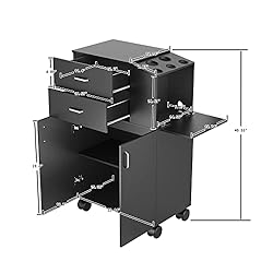 Paddie Salon Trolley Cart with Wheels, 2 Drawer