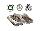 Top Dog Chews Premium Large Thick Elk Antler 5 Pack Dog Chew Treat Made in USA