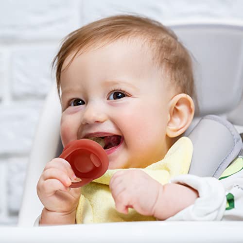 Eco inspired Baby Food Feeder,Fruit Feeder Pacifier,Food Grade Silicone