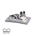 Plush Dog Bed | Ombre Swirl Dog Bed & Cat Bed | Gray 29L x 21W x 2H Inches for Medium Dog Breeds primary