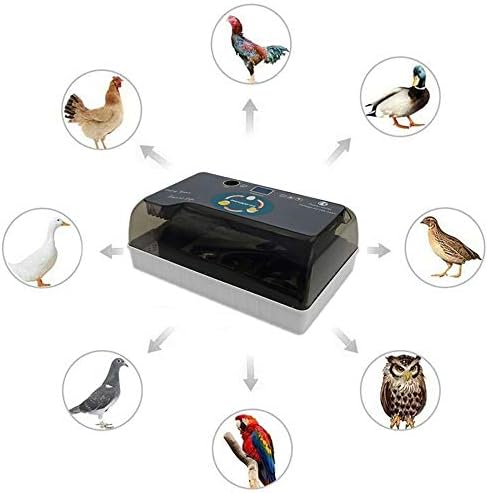 ZHUANFAFA 48 Egg Incubator with Egg Light, Automatic Temperature Control, Automatic Egg Turning, No Noise, Transparent Cabinet