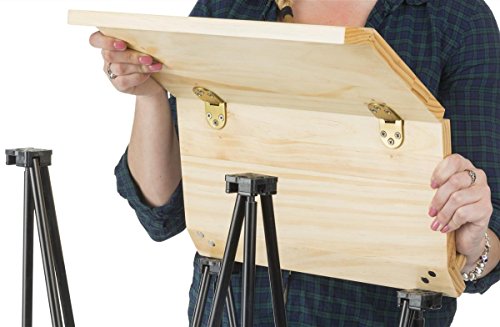 2 Displays2go+Portable+Folding+Carrying+LCTFOLDV2