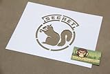 Secret Squirrel Stecil