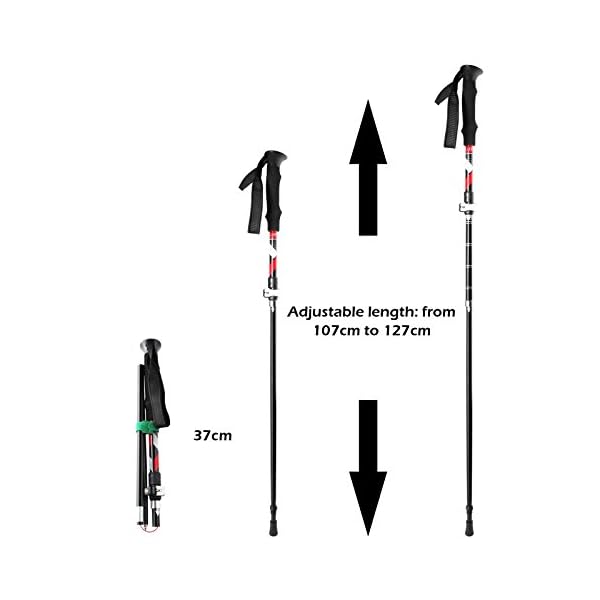 cleebourg trekking pole