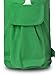 BalanceFrom BFGYFM6GR Goyoga Full Zip Exercise Yoga Mat Bag with Multi-Functional Storage Pockets