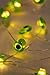 Brooklyn Lighting Company 12 Foot LED Wire Lights Strip with 36 Avocado Shaped Bulbs Battery Operated String Lights (12FT, Avocado)