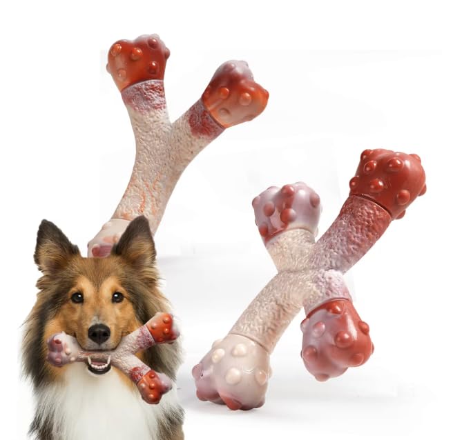 CHEW BOSS Extremely Tough Toys for Aggressive Chewers - 2 Pack Indestructible X and Y Shaped Real Beef/Bacon Flavored, Large Durable Interactive Nylon Dog Toys