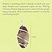 Aatm Chakra Healing Wired Wrapped Shiva Lingam Narmada Svayambhu Spiritual Shivling Pendant for Puja Yoga Healing Stone Energy Gift Health, Well-Being and Meditation