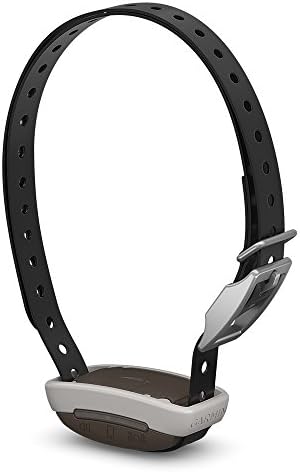 garmin 2 dog shock collar