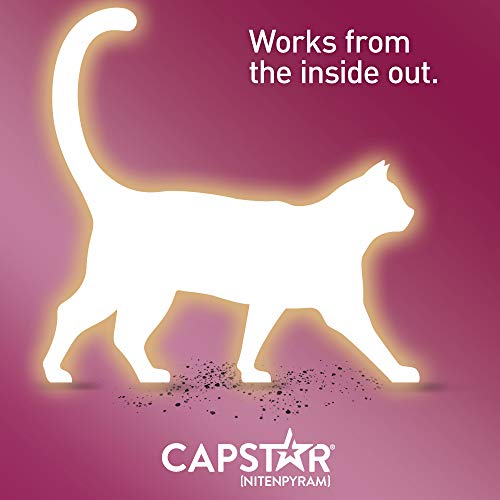 3 Capstar+Fast+Acting+Oral+Treatment+Doses