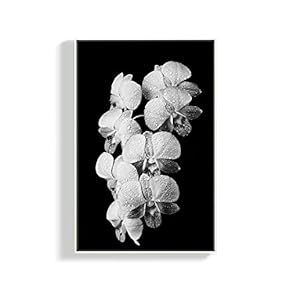 Canvas Wall Art for Living Room, Bedroom Plants Framed Canvas Prints for Home Decoration Ready to Hang - 16x24 inches