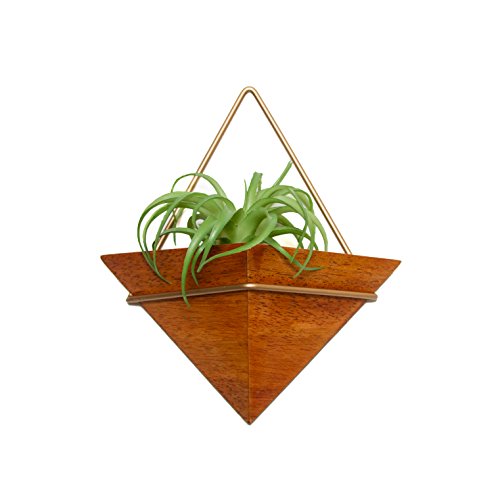 gold air plant holder
