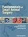 Fundamentals of Small Animal Surgery