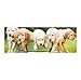 Melissa & Doug Puppy Pail Jigsaw 1000Pc, 1 EA