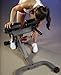 XMark 45 Degree Ab Back Hyperextension XM-7609