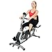 Sunny Health and Fitness Easy Adjustable Seat Recumbent Bike (SF-RB4616) with Workout Cooling Towelthumb 1