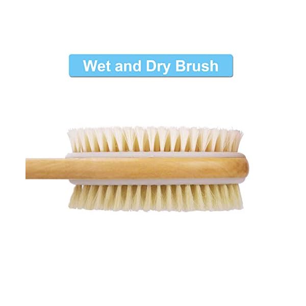 Metene-Back-Scrubber-for-Shower-Shower-Brush-for-Exfoliating-Skin-and-A-Soft-Scrub-Double-sided-Body-Brush-Head-for-Wet-or-Dry-Brushing-Long-Wooden-Handle-Cleans-the-Body-Easily Metene Back Scrubber for Shower, Shower Brush for Exfoliating Skin and A Soft Scrub, Double-Sided Body Brush Head for…