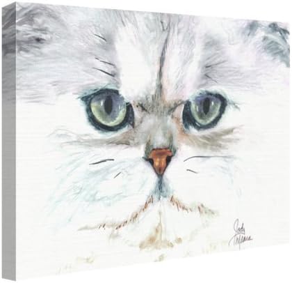 Rainbow Card Company Matted Print, 11 by 14-Inch - Sabago
