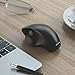 Wireless Mouse, Jelly Comb 2.4GHz Ergonomic Wireless Mouse, Optical Computer Mouse for Laptop Windows PC Desktop and More-MV021 (Black)