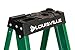 Louisville Ladder 8-Foot Fiberglass Step Ladder, 225-Pound Load Capacity, Type II, FS4008
