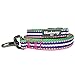 Blueberry Pet Reflective Dog Leash - Puppy Essentials, Gentle Leader for Dogs, Reflective Dog Collar & Leash, Eco-Friendly, Durable Nylon, Comfortable Handle for Active Pet Parents & Dogs That Pull
